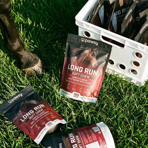 Pawsy™ Long Run
