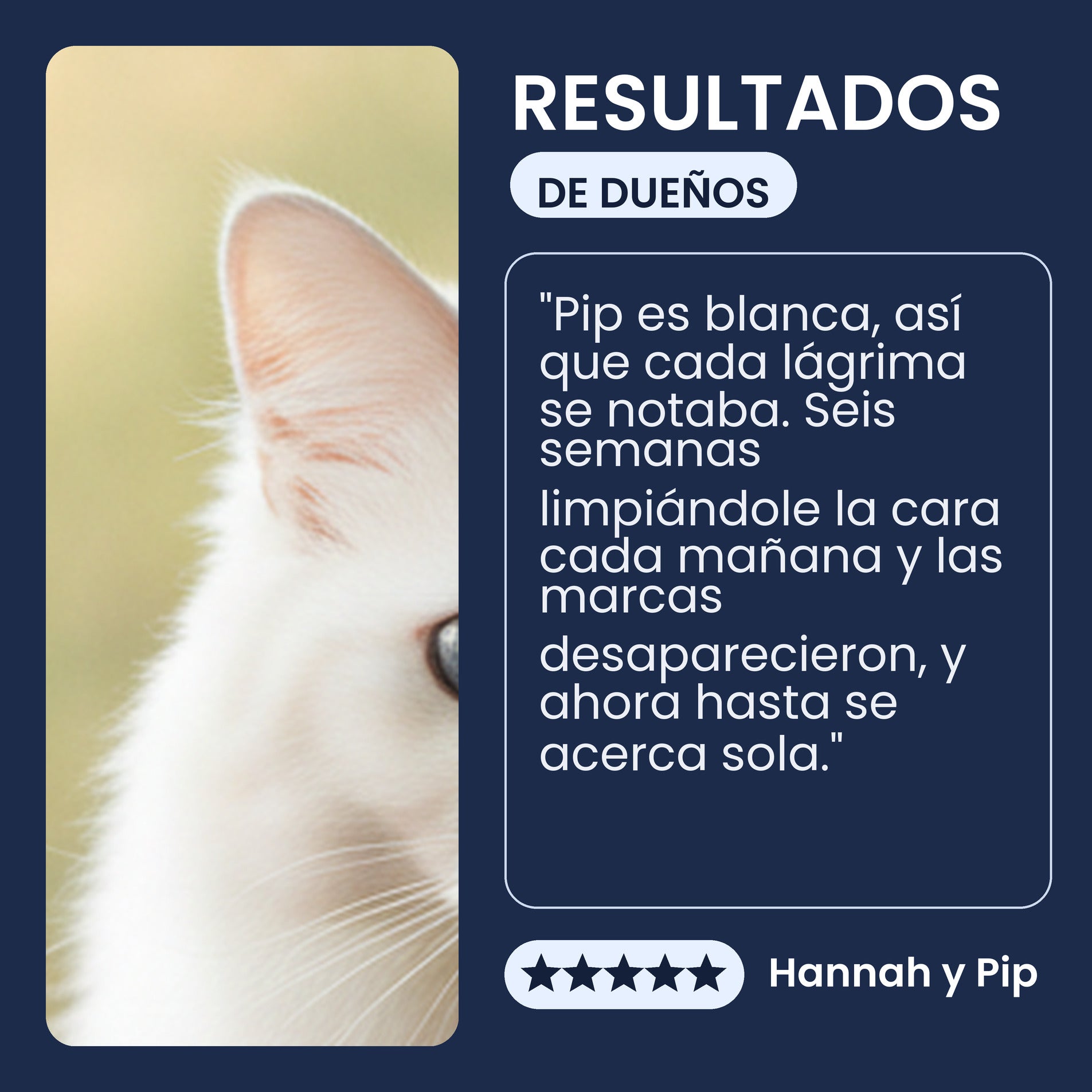 Testimonio de una persona dueña sobre las toallitas Pawsy Bright Eyes para manchas de lágrimas