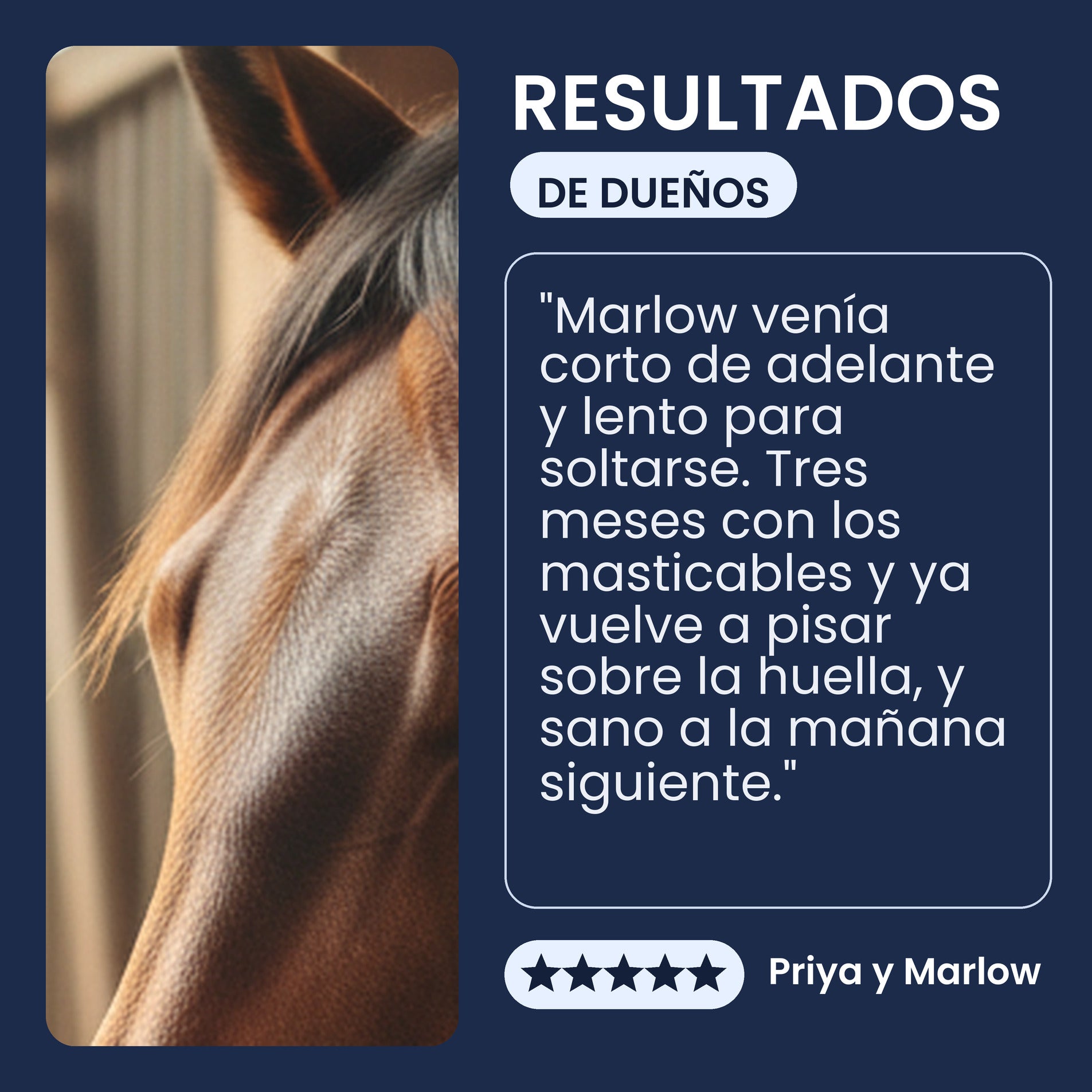 Testimonio de una persona dueña sobre los masticables blandos de manzana Pawsy Long Run