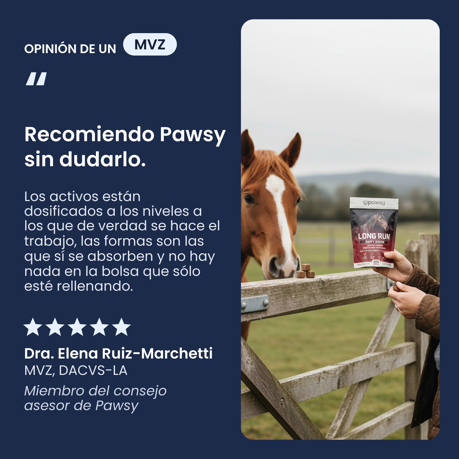 Recomendación de un veterinario equino sobre los masticables blandos de manzana Pawsy Long Run