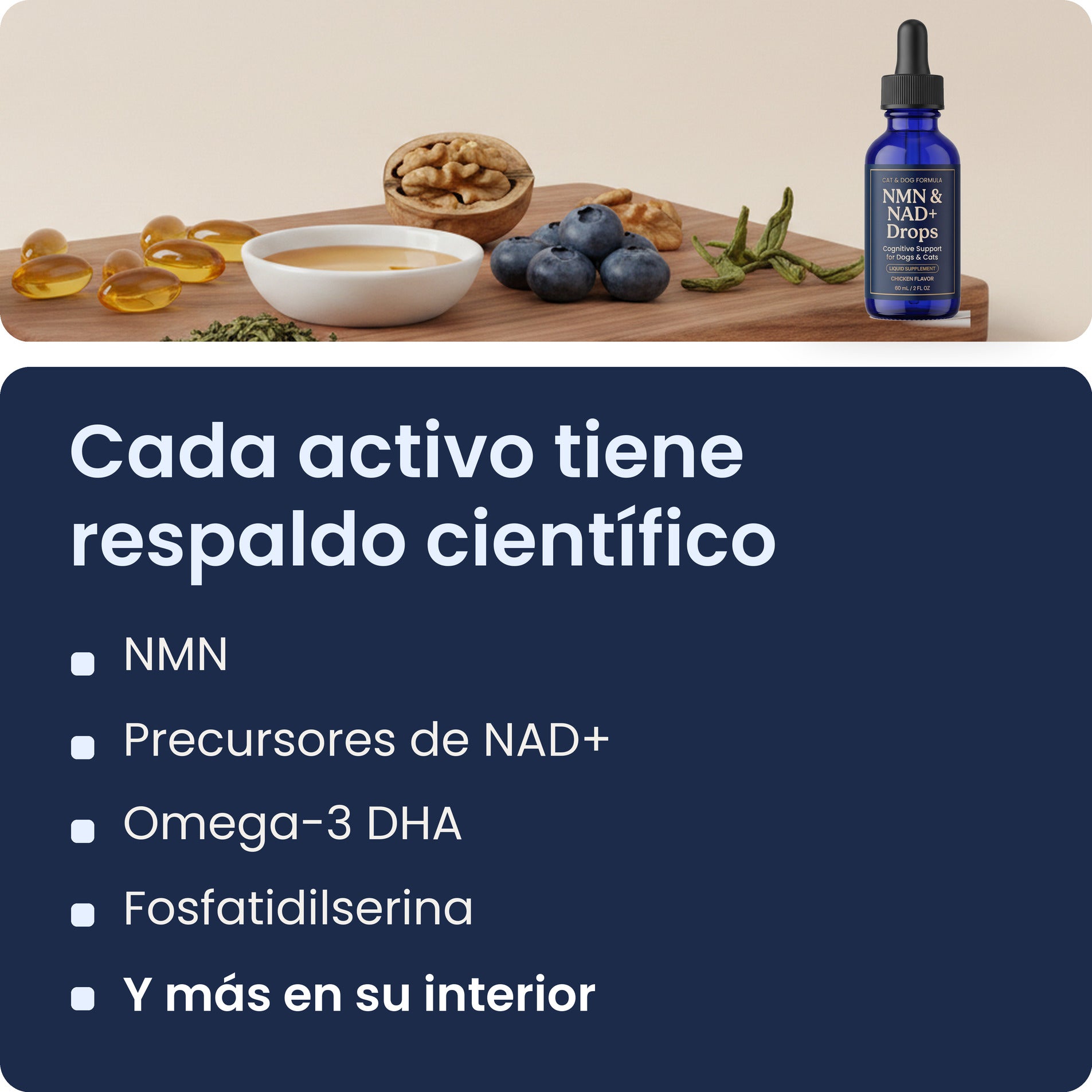 Activos principales de las gotas de NMN y NAD+ de Pawsy: NMN, precursores de NAD+, omega-3 DHA y fosfatidilserina