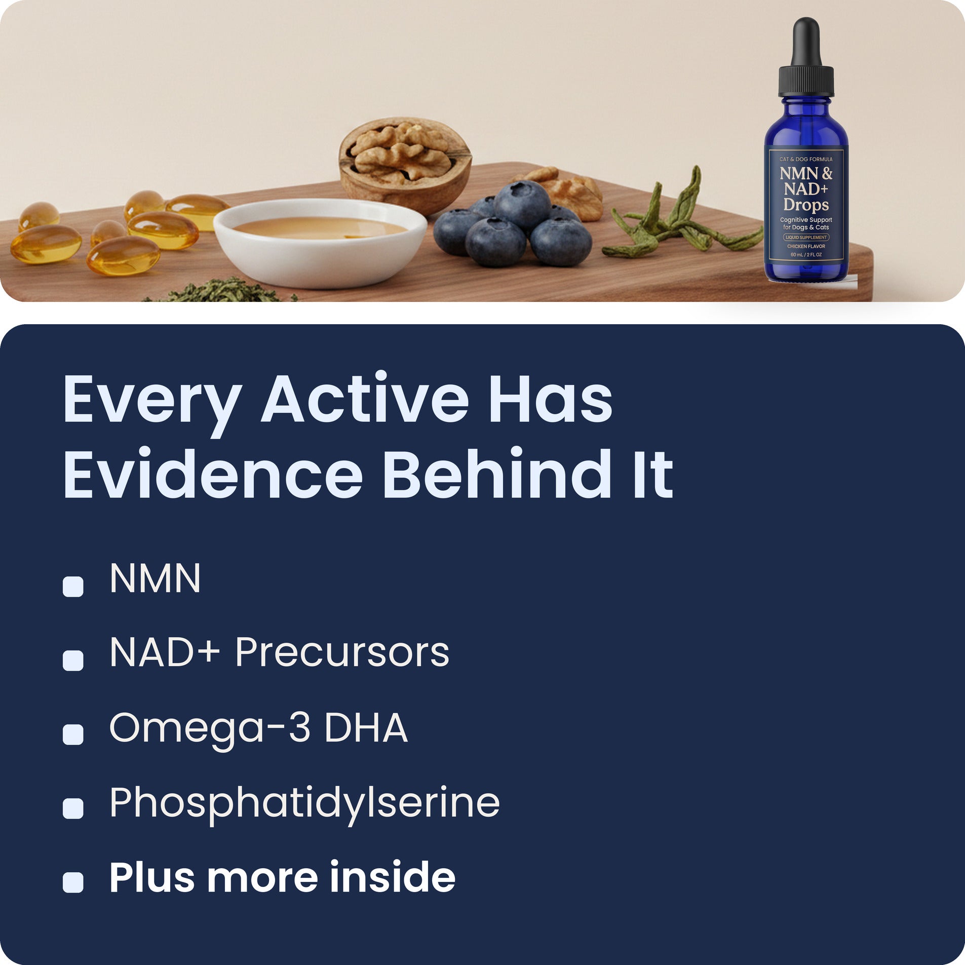 Key actives in Pawsy NMN & NAD+ Drops: NMN, NAD+ precursors, Omega-3 DHA and phosphatidylserine