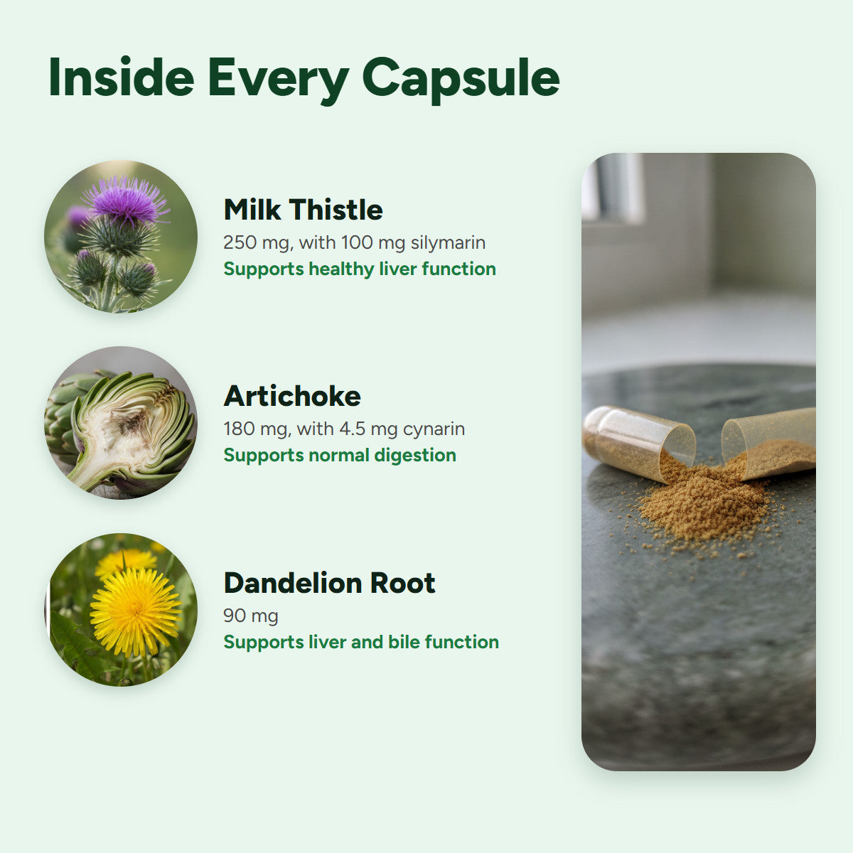 Inside every capsule: milk thistle, artichoke and dandelion root