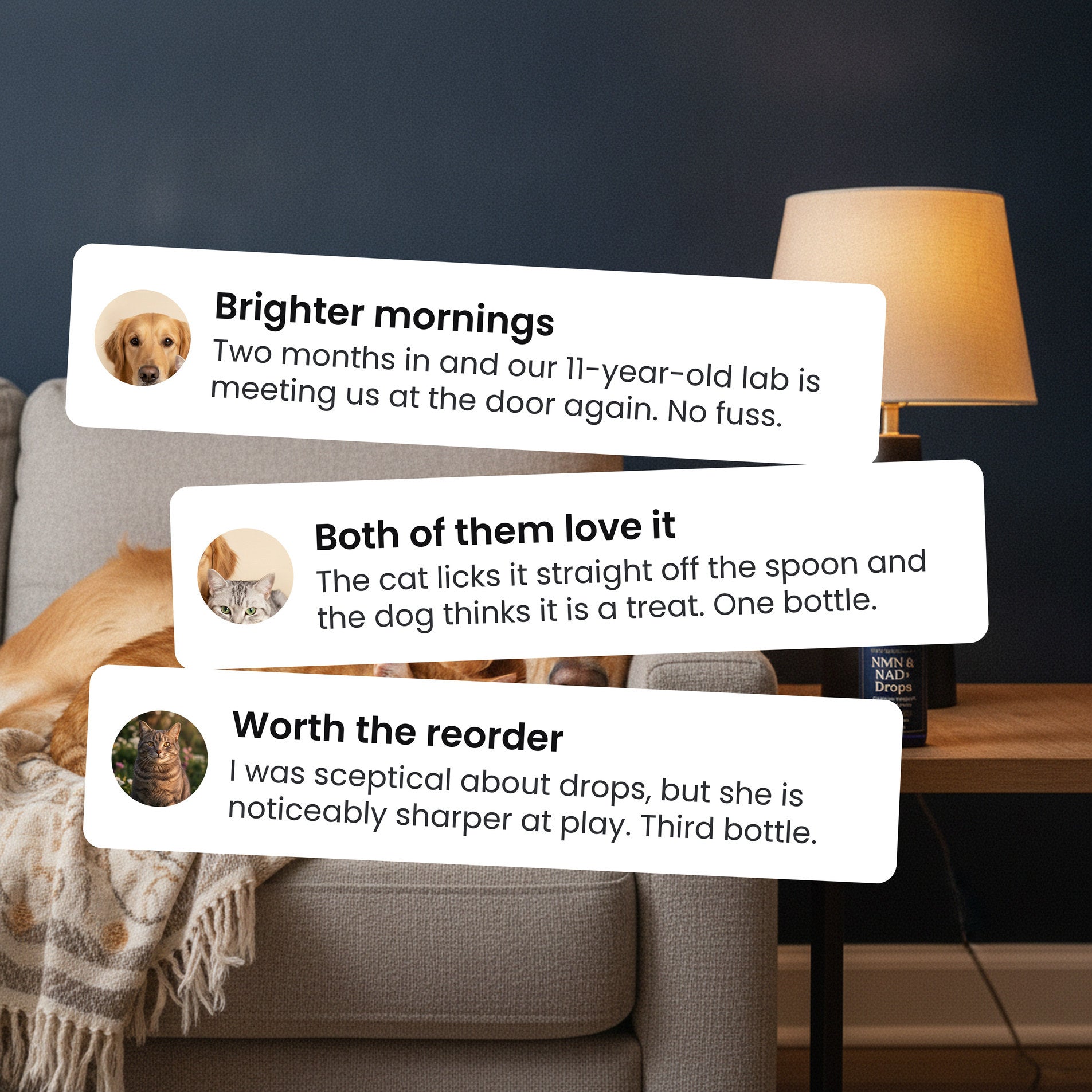 Customer reviews for Pawsy NMN & NAD+ Drops