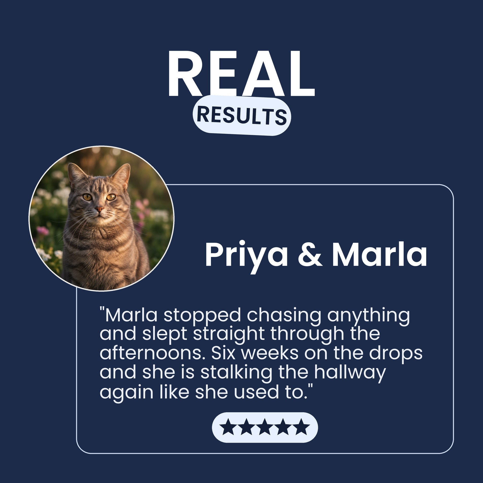 Owner testimonial about Pawsy NMN & NAD+ Drops