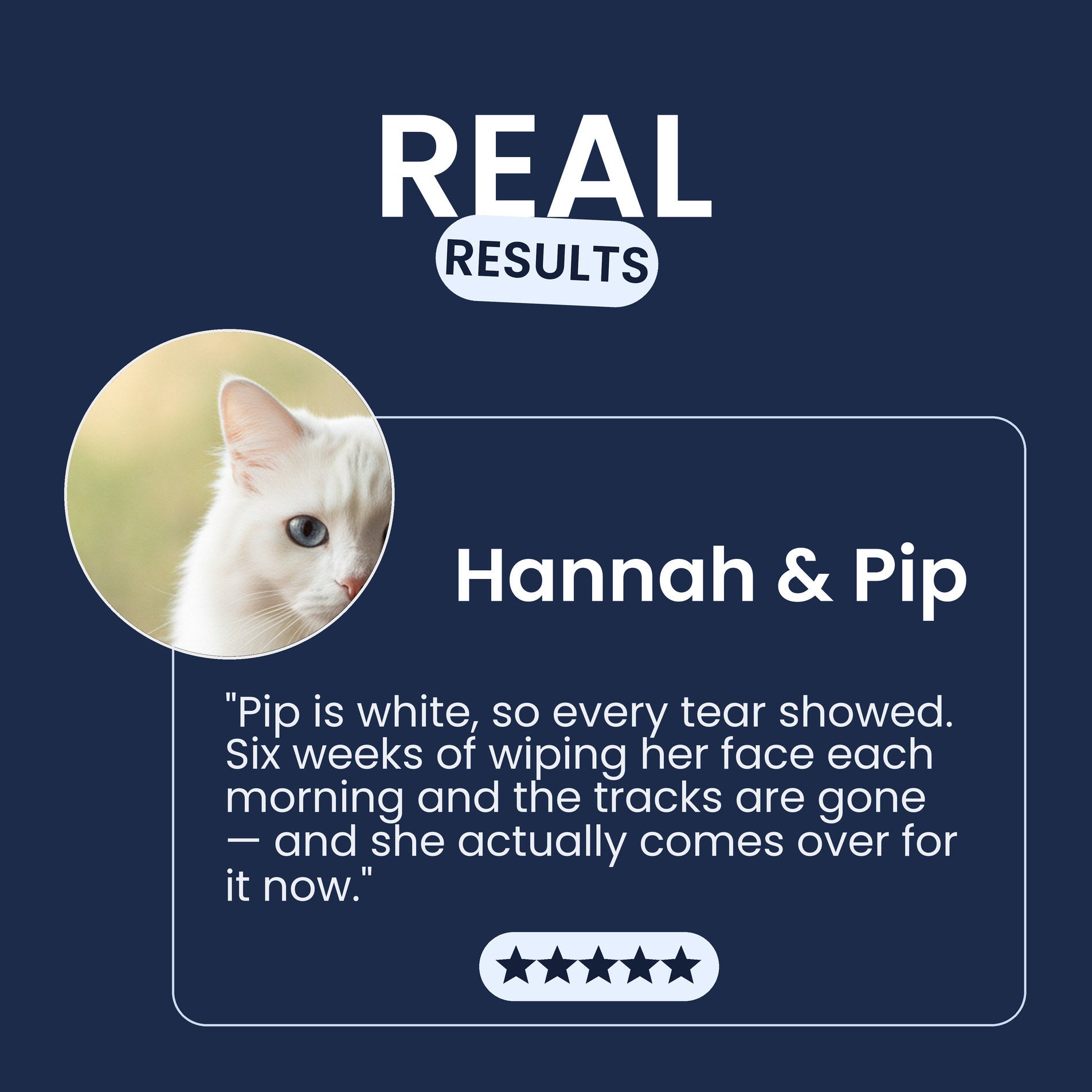 Owner testimonial about Pawsy Bright Eyes tear stain wipes