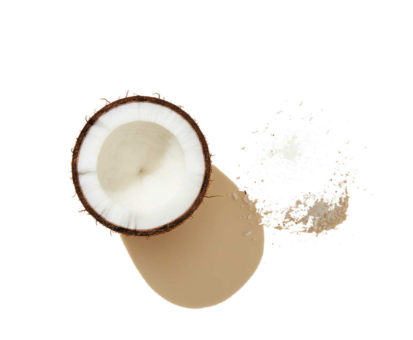 A halved coconut, the source of our gentle cleansers