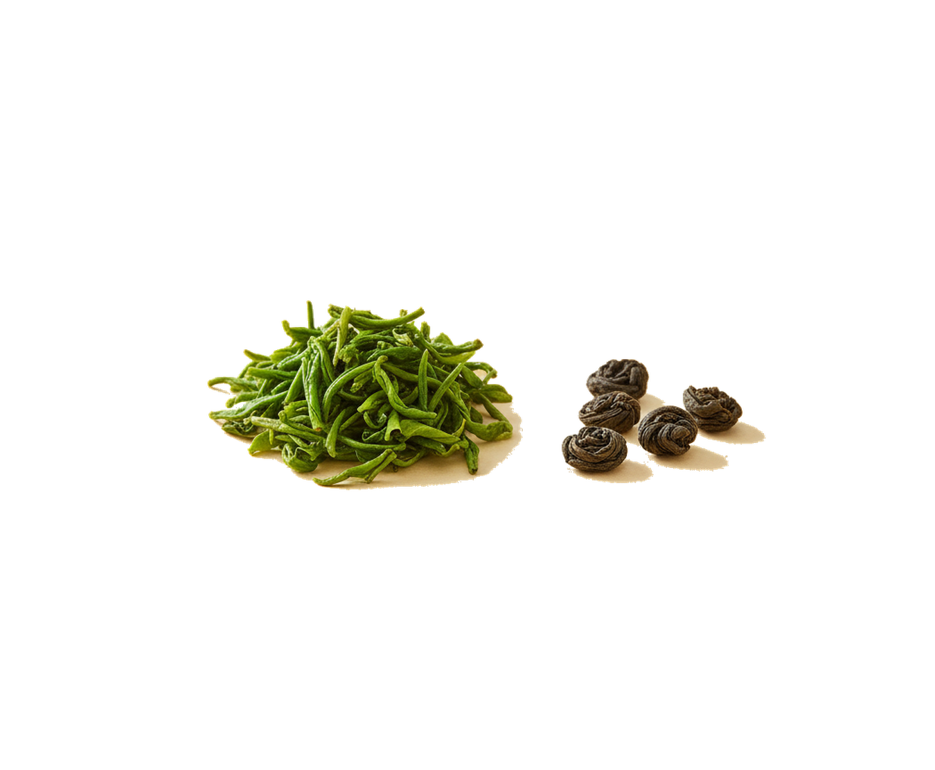 Fresh green tea leaves, the source of our green tea extract