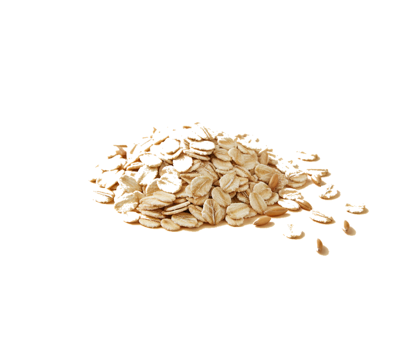 Rolled oats, the source of our colloidal oatmeal
