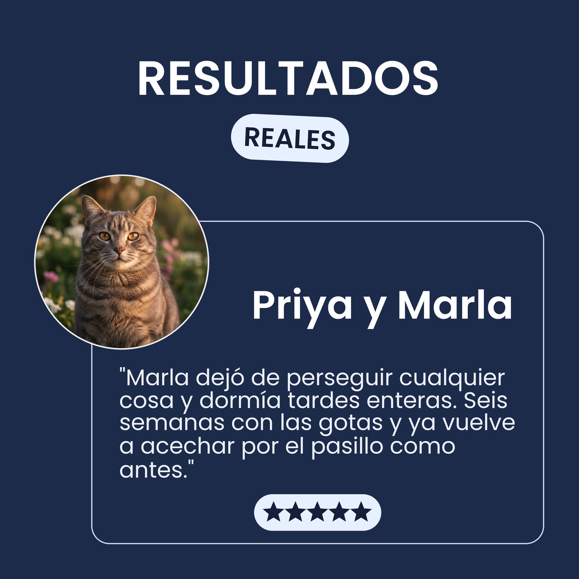 Testimonio de una persona dueña sobre las gotas de NMN y NAD+ de Pawsy