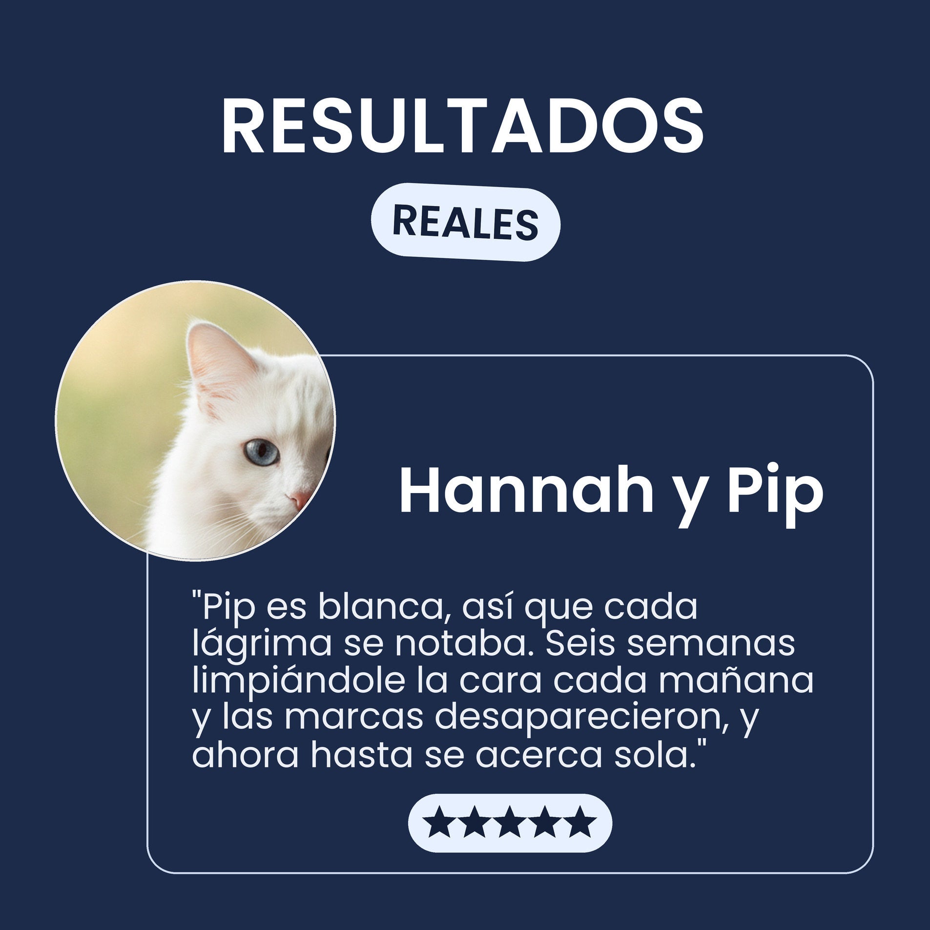 Testimonio de una persona dueña sobre las toallitas Pawsy Bright Eyes para manchas de lágrimas