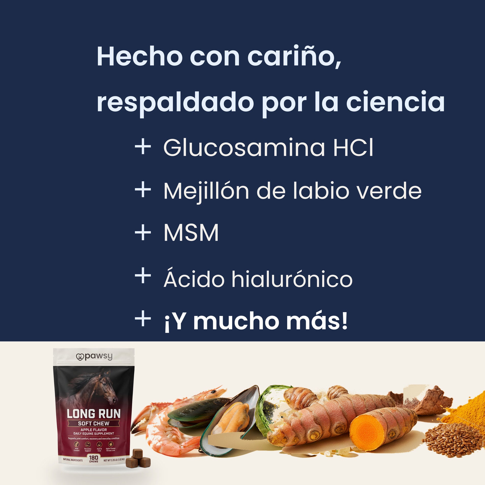 Activos principales de los masticables blandos Pawsy Long Run: glucosamina, mejillón de labio verde, MSM y ácido hialurónico