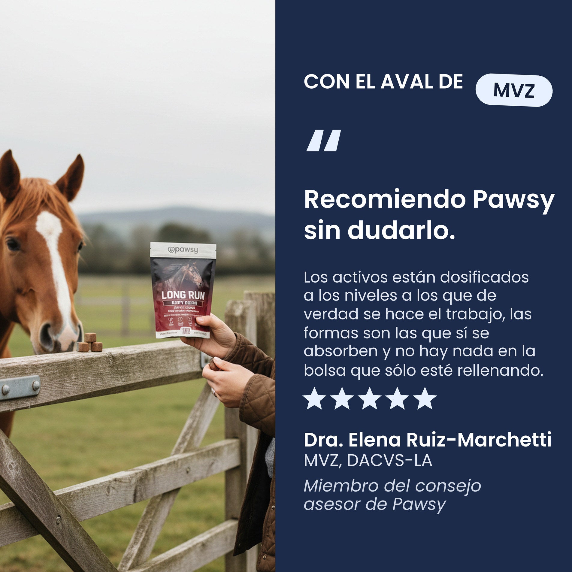 Recomendación de un veterinario equino sobre los masticables blandos de manzana Pawsy Long Run