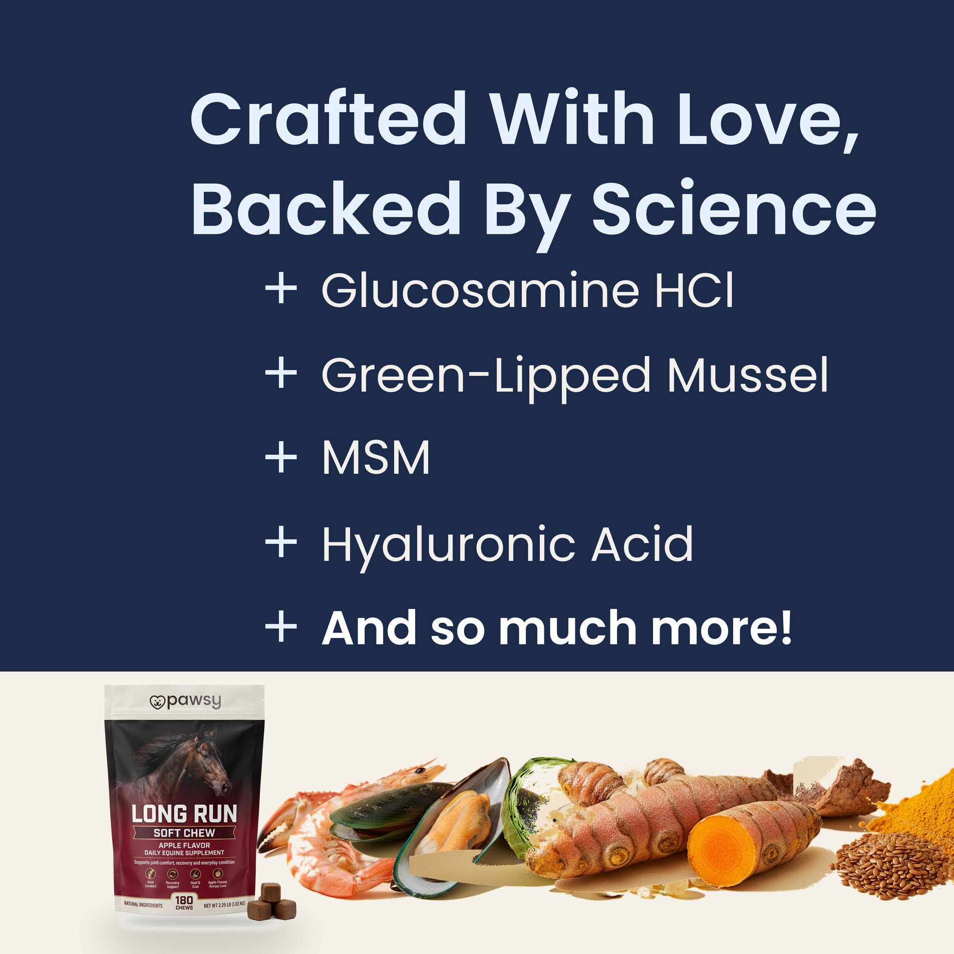 Key actives in Pawsy Long Run soft chews: glucosamine, green-lipped mussel, MSM and hyaluronic acid