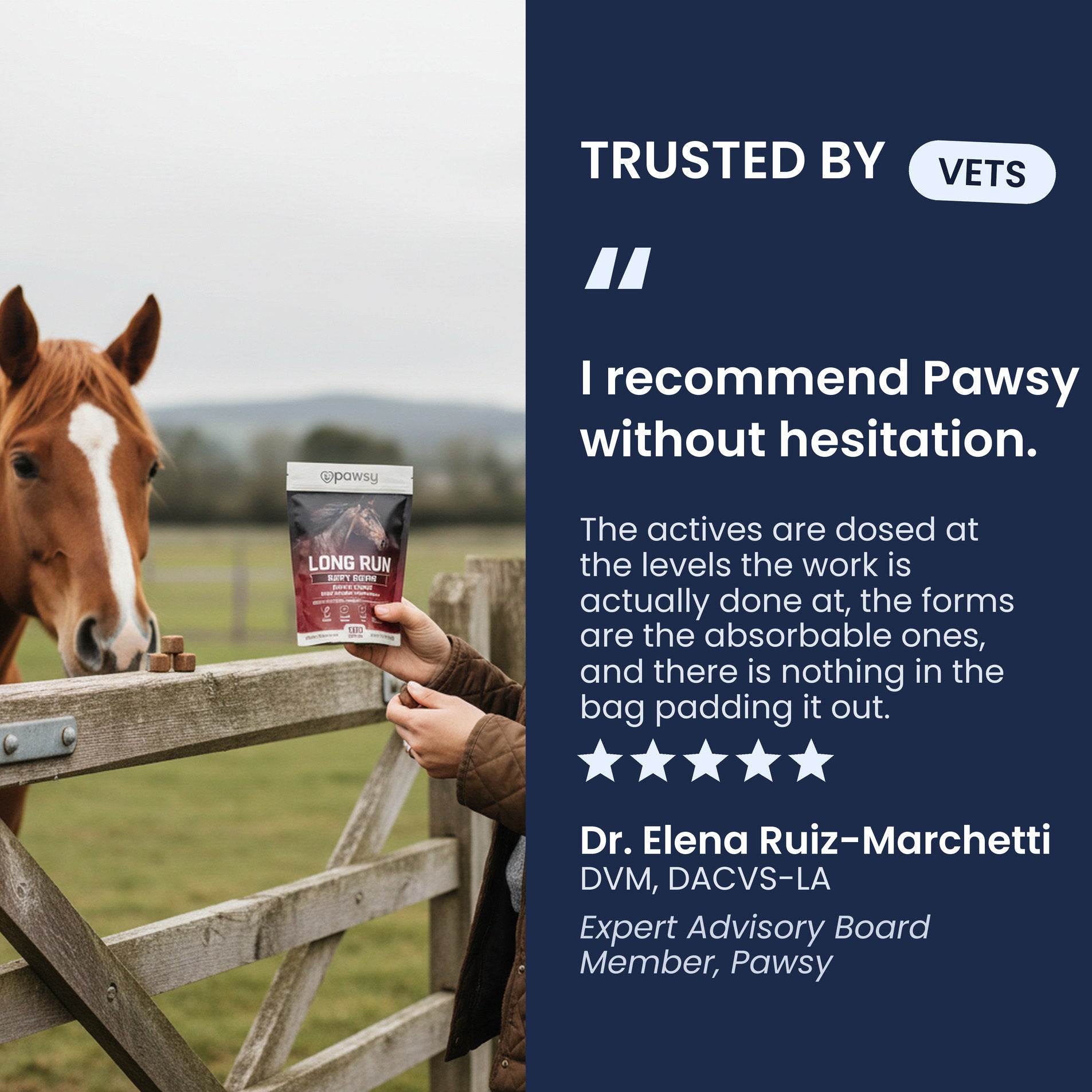 Equine veterinarian recommendation for Pawsy Long Run apple soft chews