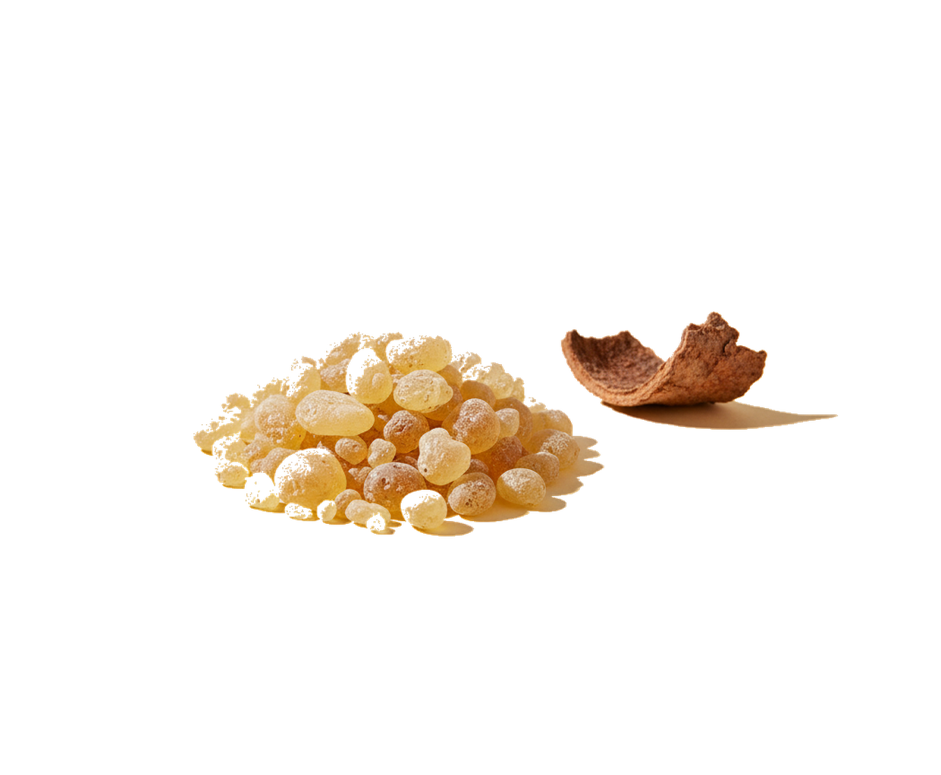 Golden frankincense resin, the source of our boswellia extract