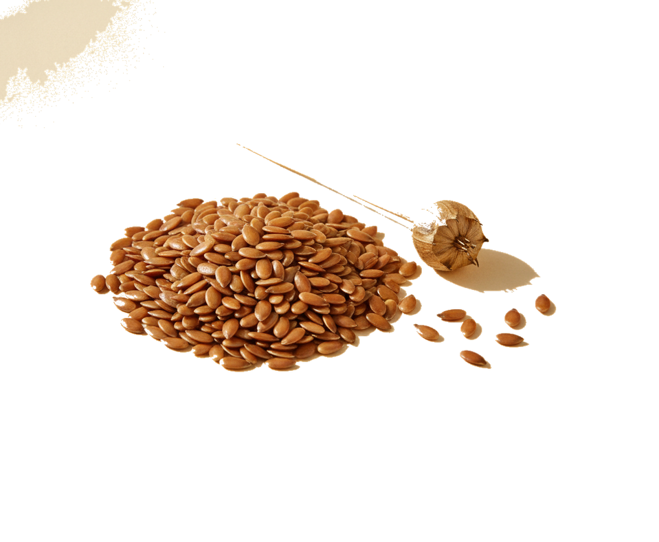 Golden-brown flaxseeds, the source of our omega-3 ALA