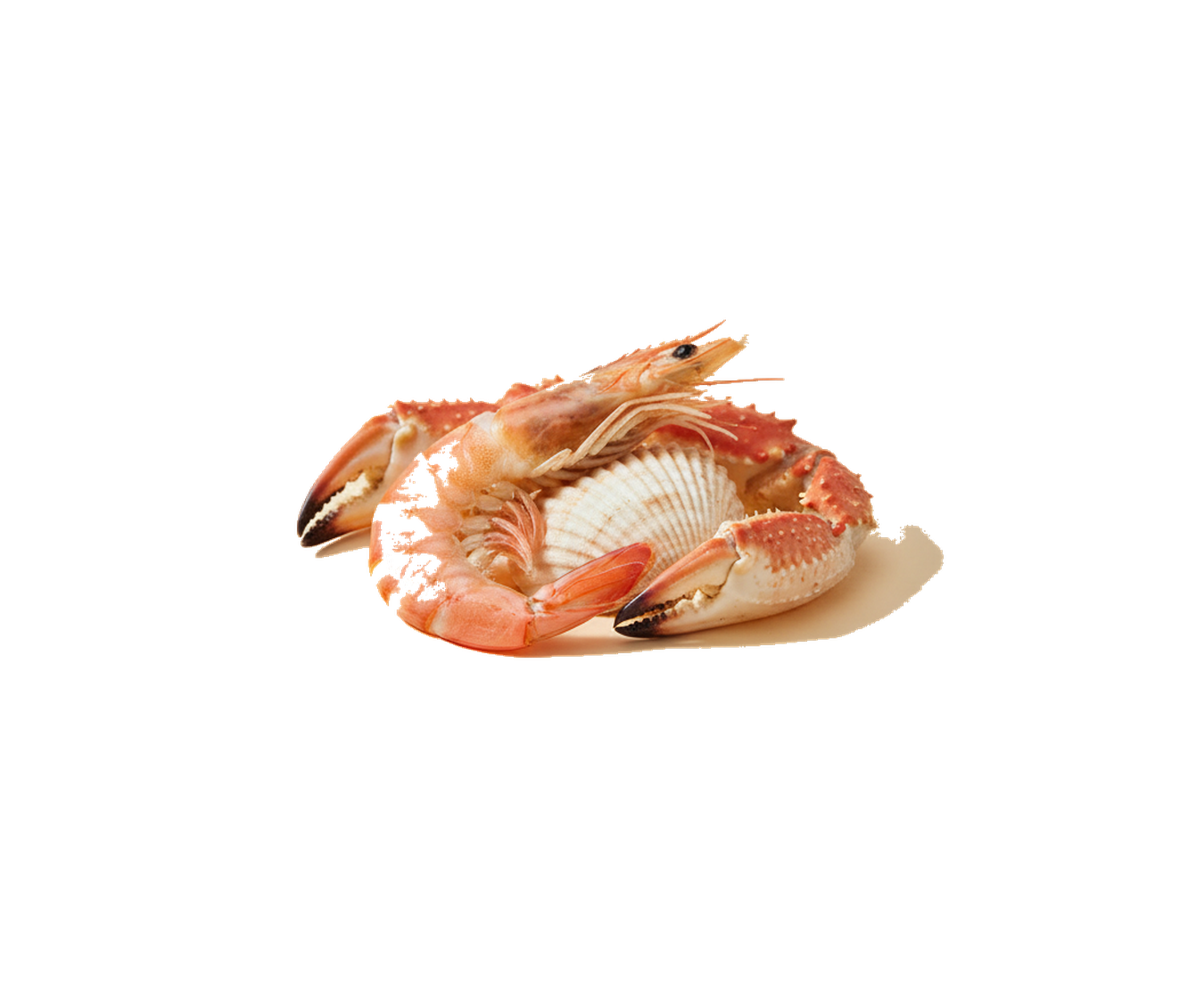 Shrimp and crab shells, the natural source of glucosamine