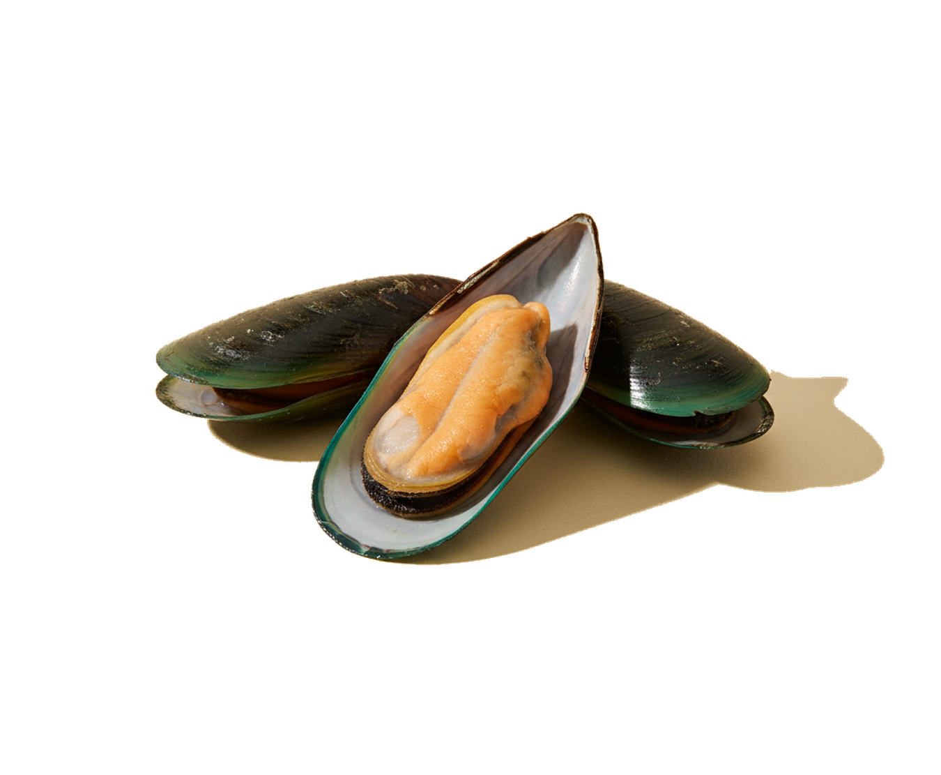 Green-lipped mussels, a whole-food source of chondroitin