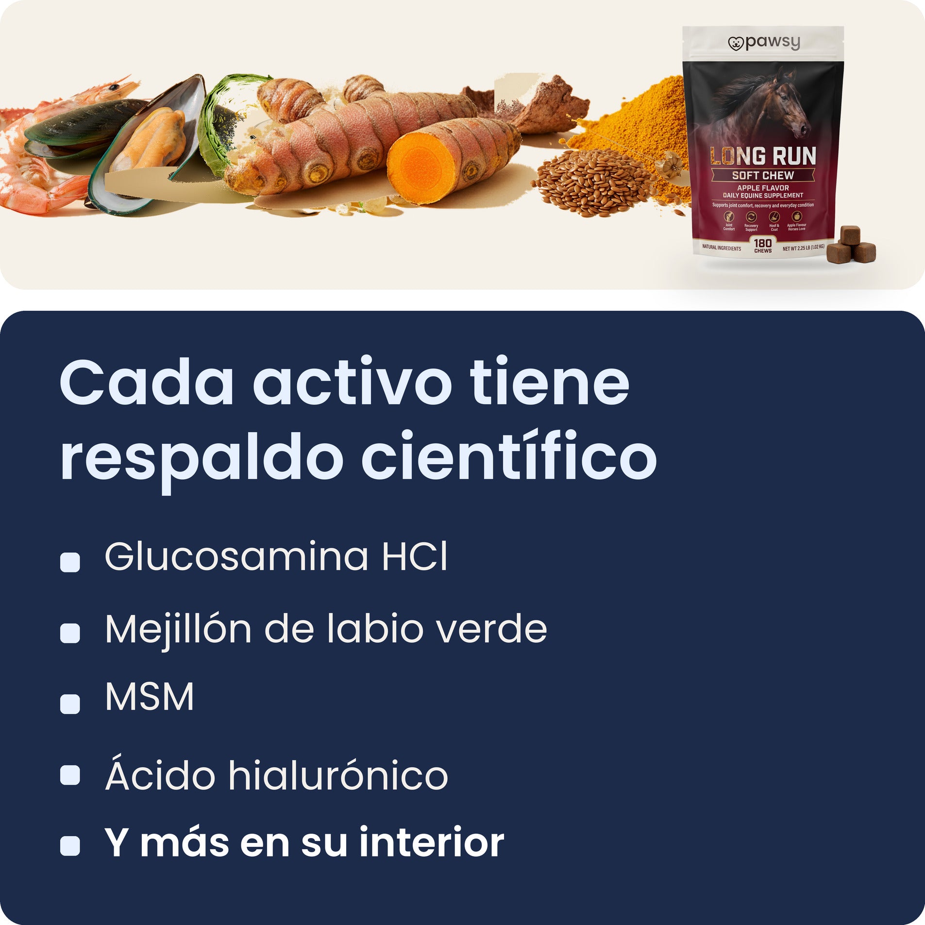 Activos principales de los masticables blandos Pawsy Long Run: glucosamina, mejillón de labio verde, MSM y ácido hialurónico
