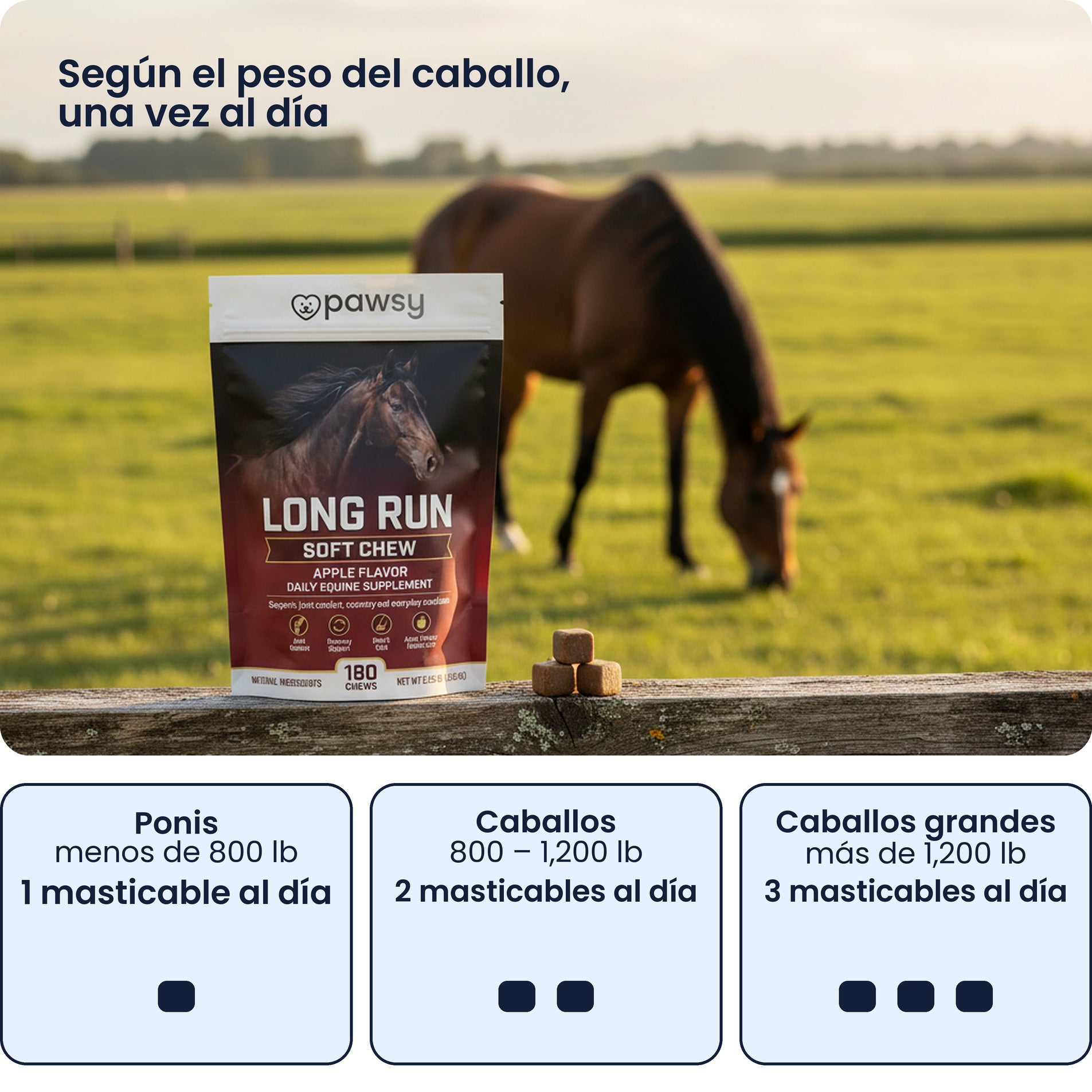 Ración diaria de los masticables blandos Pawsy Long Run según el peso del caballo