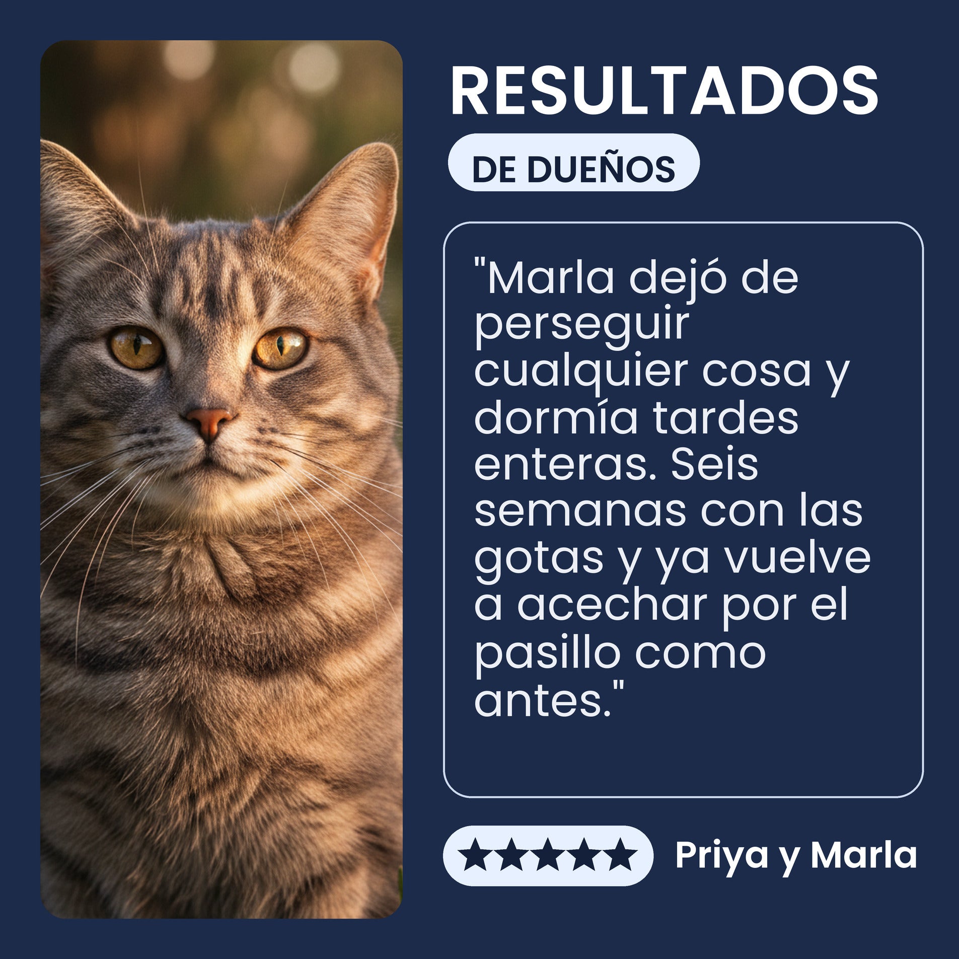 Testimonio de una persona dueña sobre las gotas de NMN y NAD+ de Pawsy