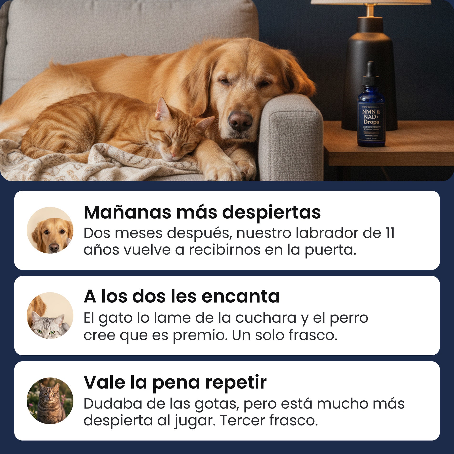 Reseñas de clientes sobre las gotas de NMN y NAD+ de Pawsy