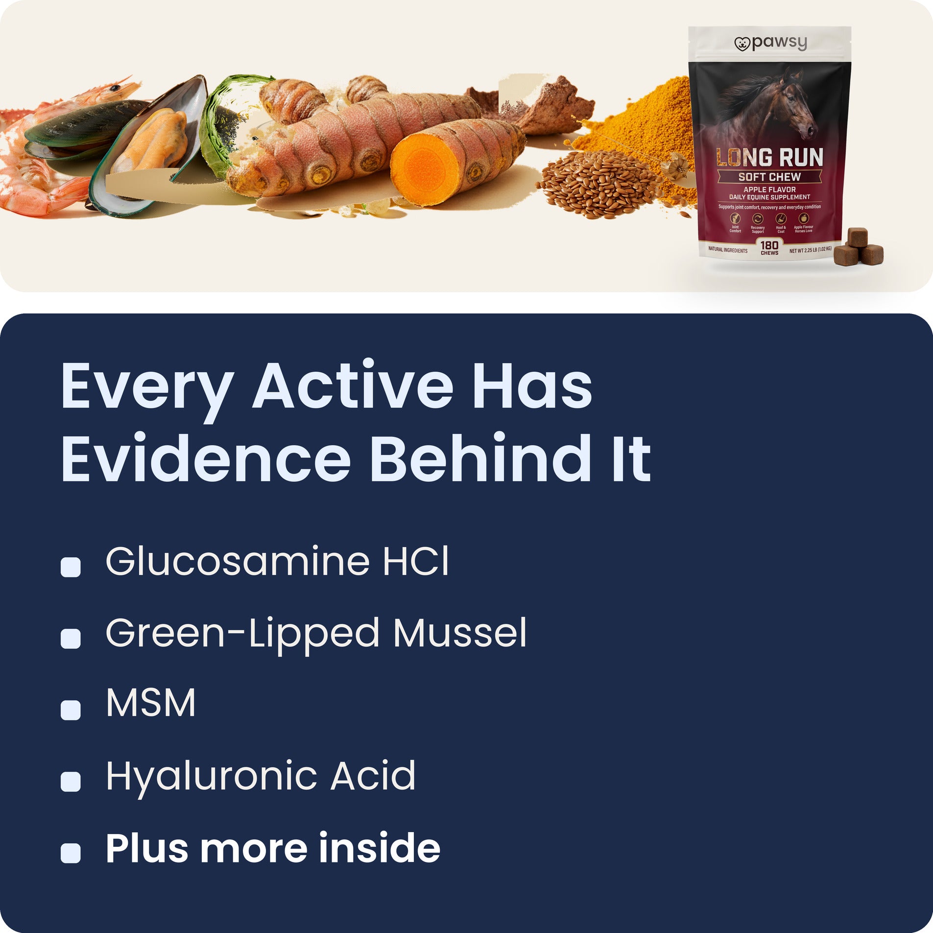 Key actives in Pawsy Long Run soft chews: glucosamine, green-lipped mussel, MSM and hyaluronic acid