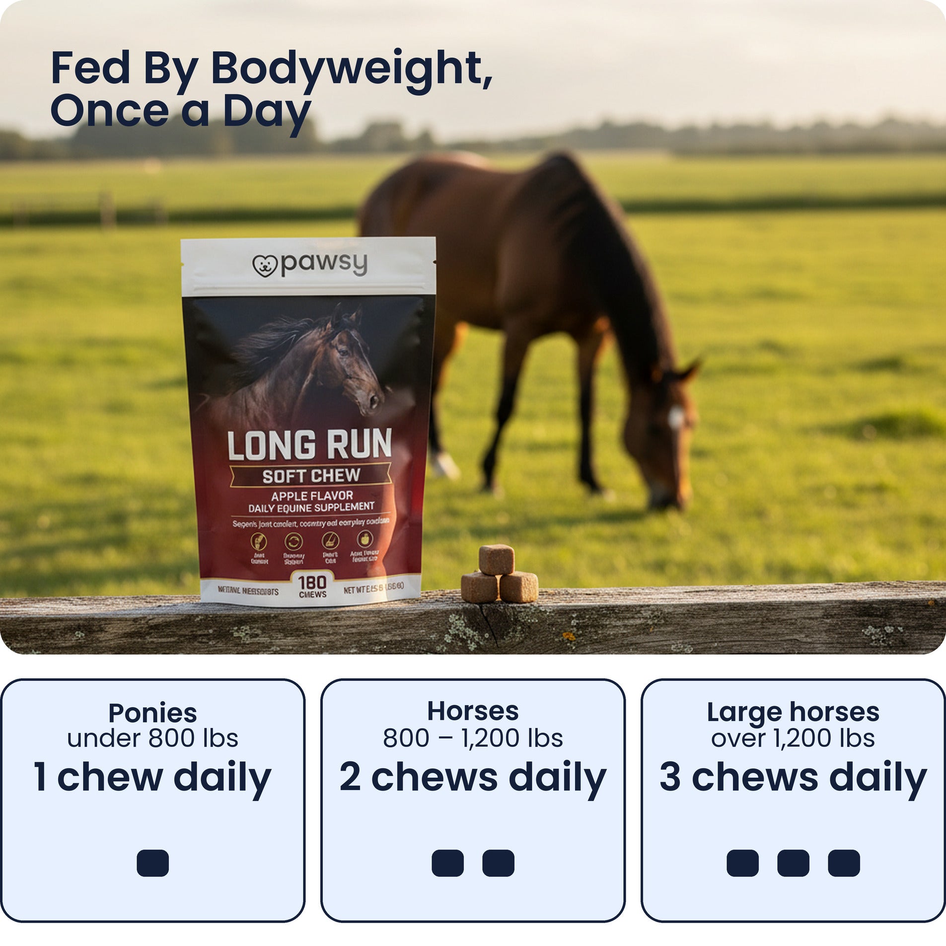 Daily feeding rate for Pawsy Long Run soft chews by horse bodyweight