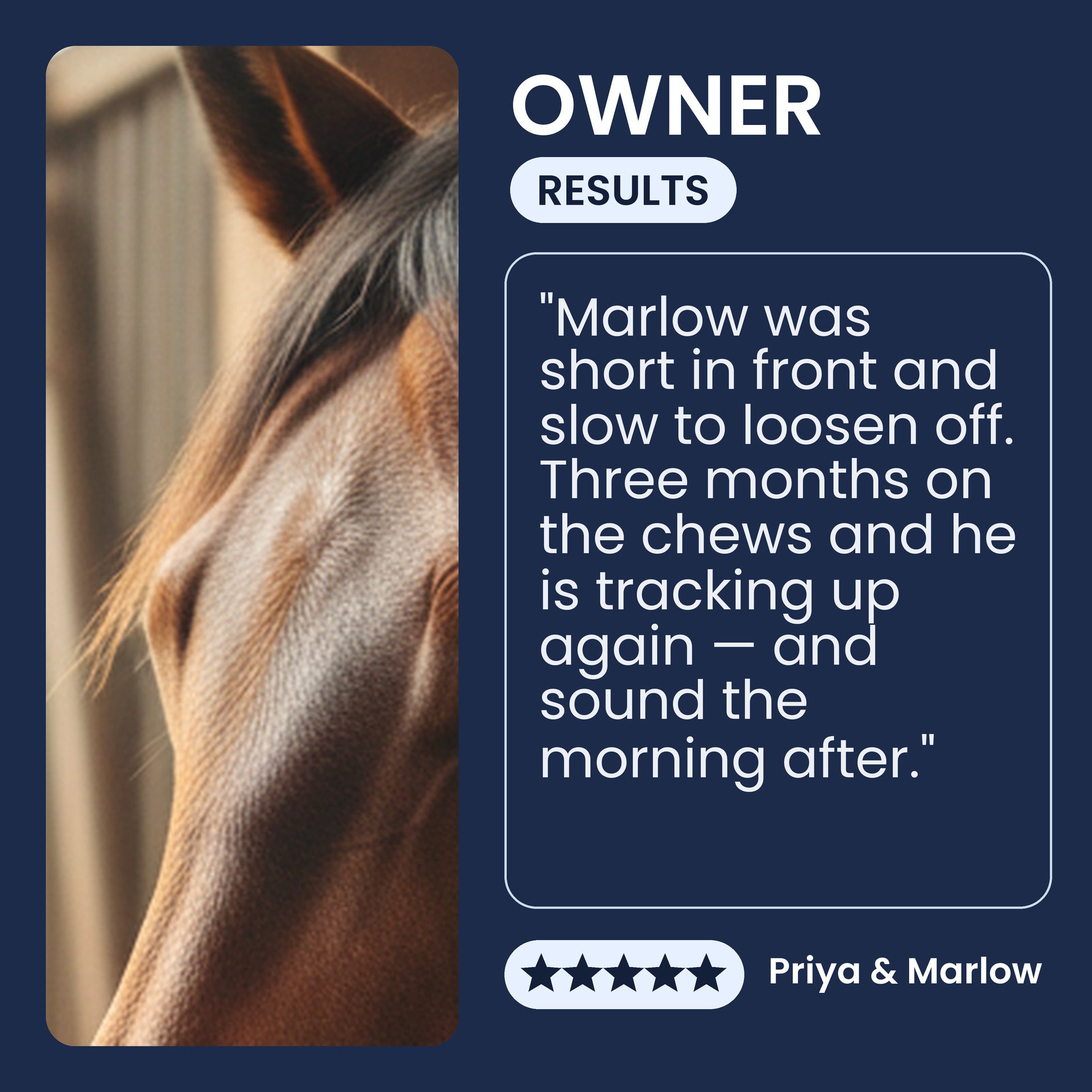 Owner testimonial about Pawsy Long Run apple soft chews