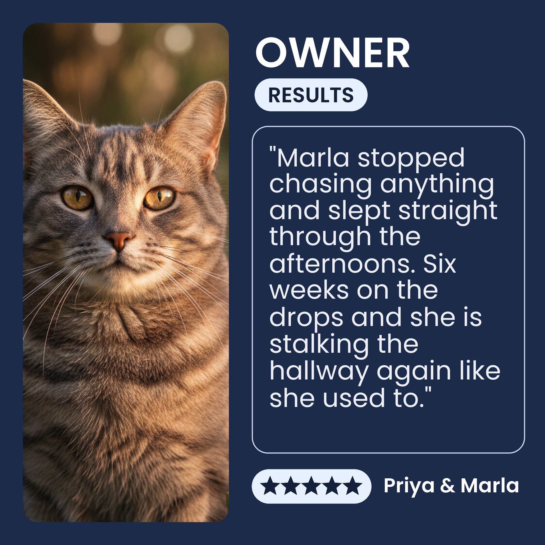 Owner testimonial about Pawsy NMN & NAD+ Drops