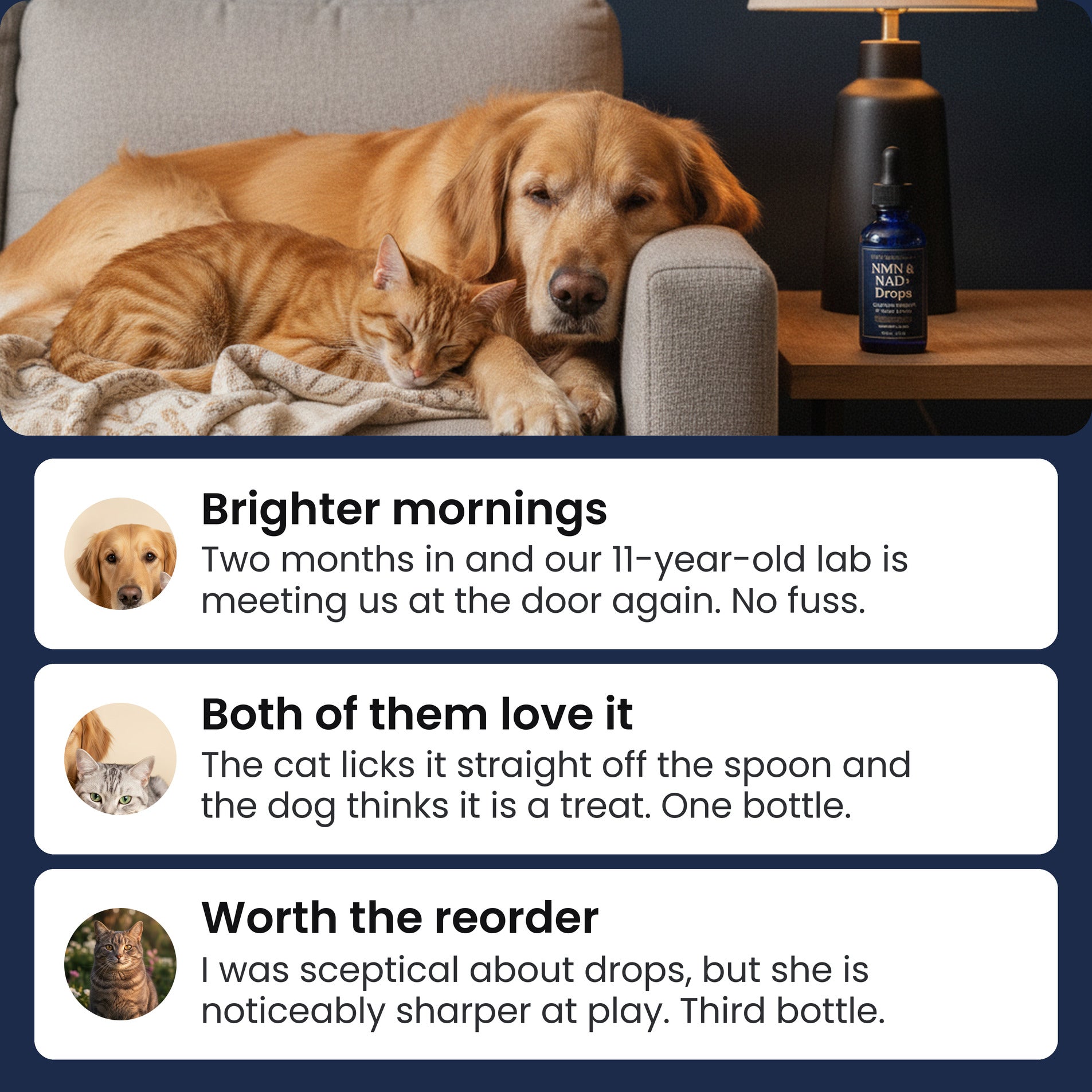 Customer reviews for Pawsy NMN & NAD+ Drops